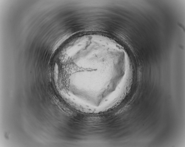 X0000102390925200808221821