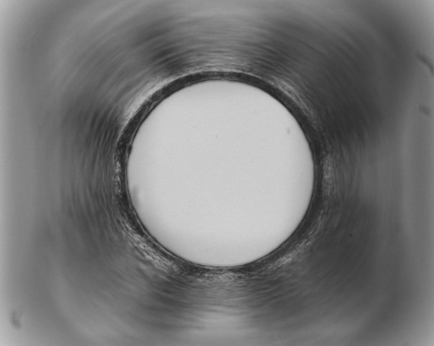 X0000102390926200808221821