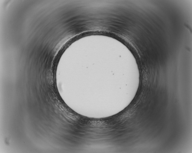 X0000102390927200808221821