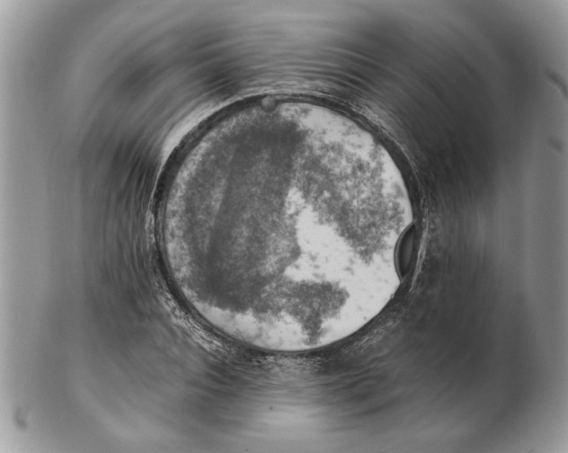 X0000102390928200808221821