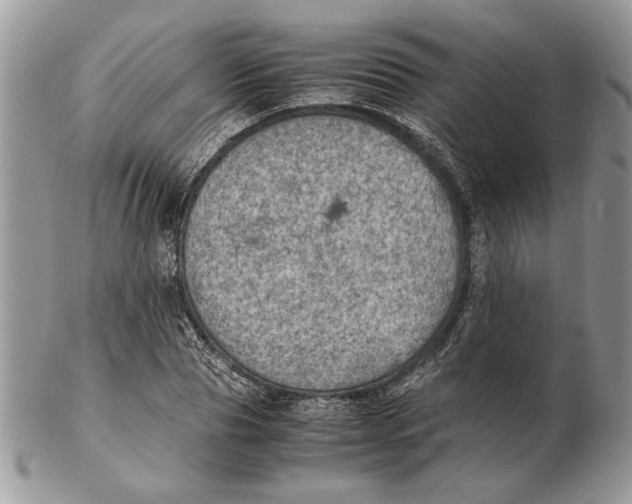 X0000102390929200808221822