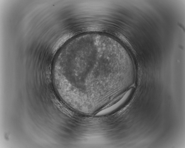 X0000102390930200808221822