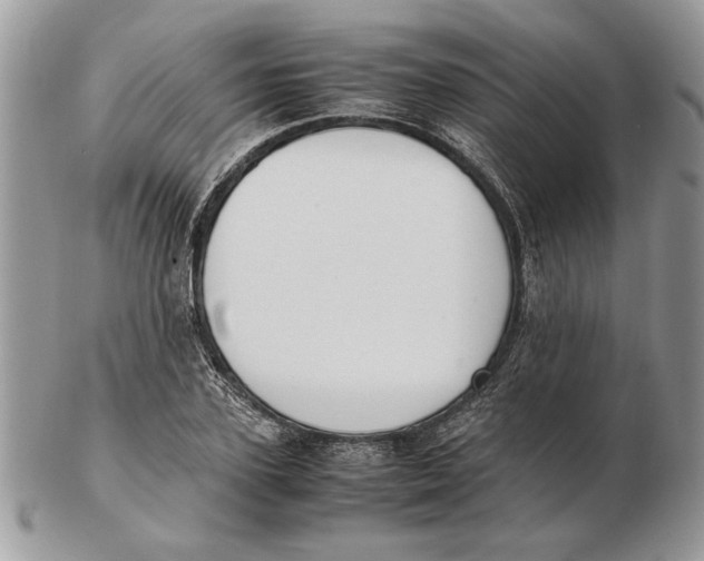 X0000102390931200808221822