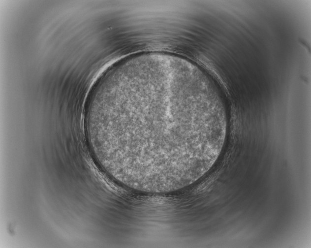 X0000102390932200808221822