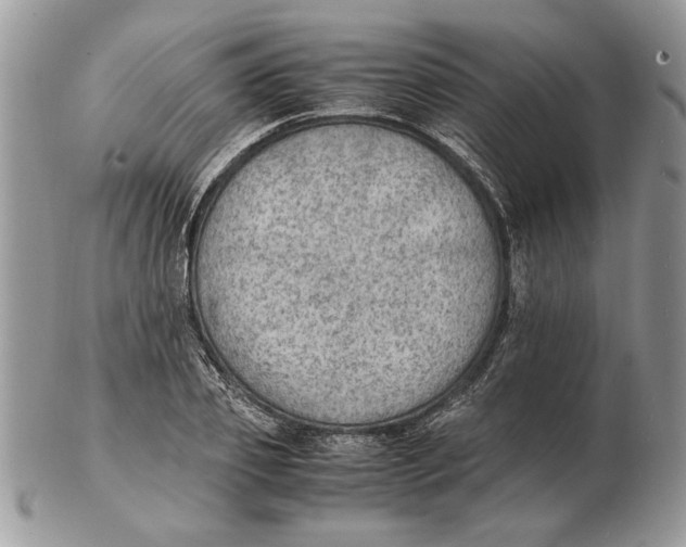 X0000102390933200808221822