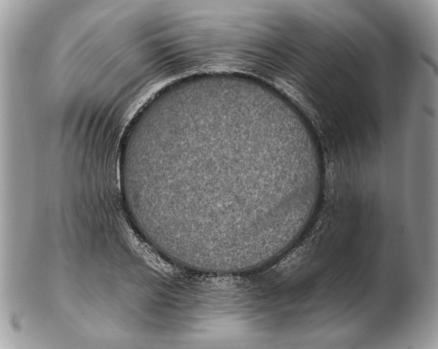 X0000102390934200808221822