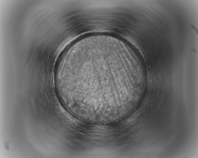 X0000102390935200808221822