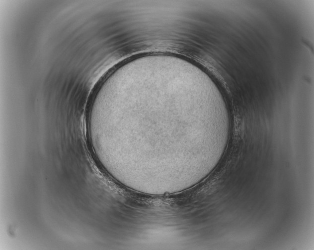 X0000102390936200808221822