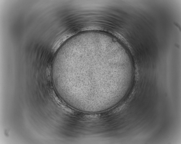 X0000102390937200808221822