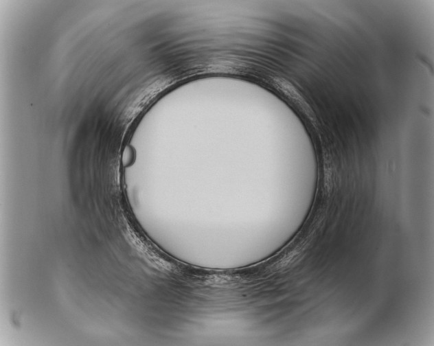 X0000102390938200808221822