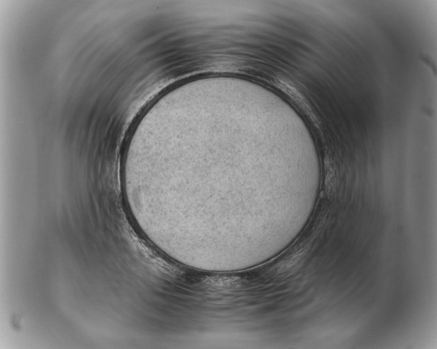 X0000102390939200808221822