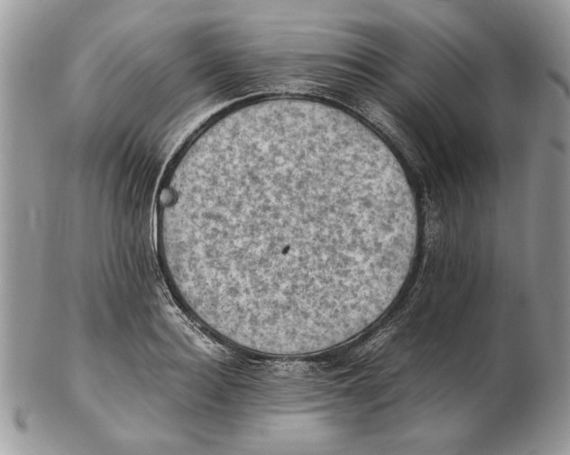 X0000102390940200808221822