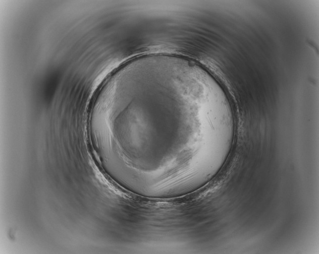 X0000102390941200808221822