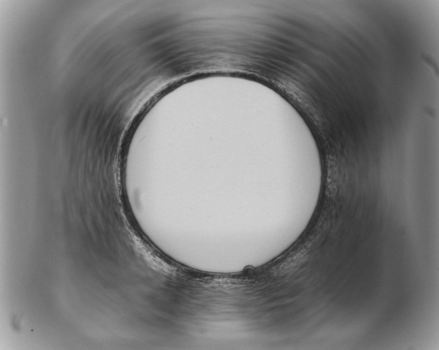 X0000102390942200808221822