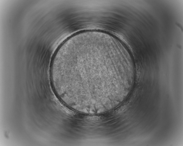 X0000102390943200808221822