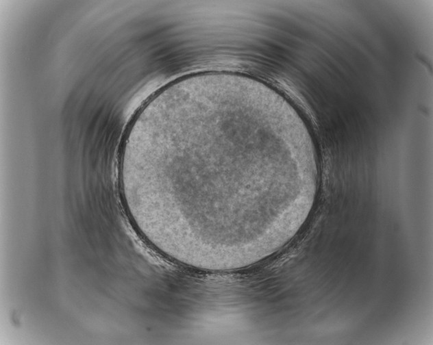 X0000102390944200808221822