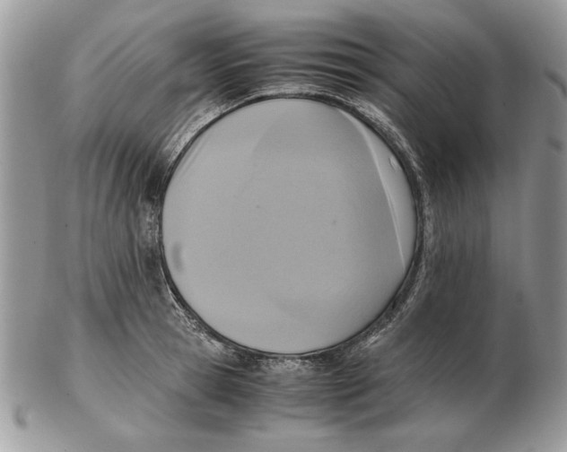 X0000102390945200808221822