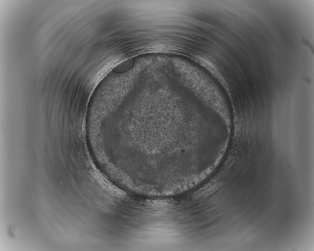 X0000102390946200808221822