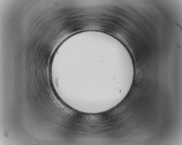 X0000102390947200808221822