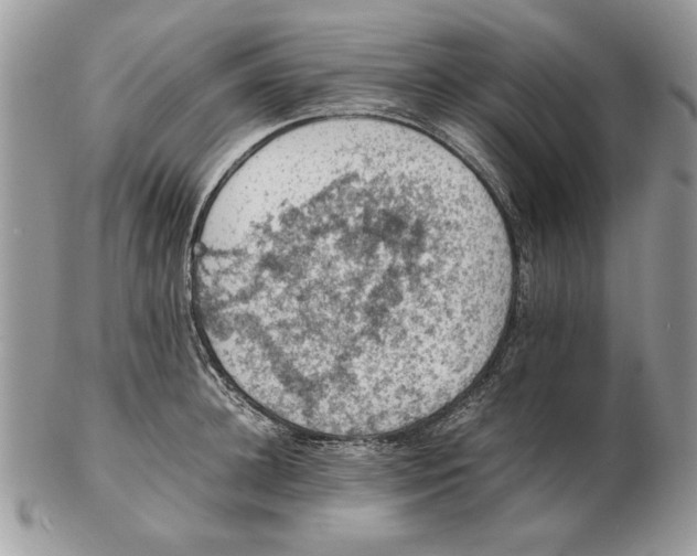 X0000102390948200808221822