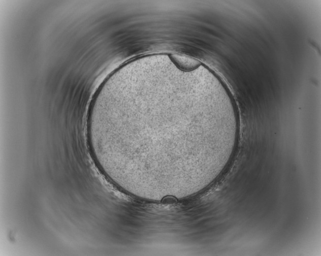 X0000102390949200808221822