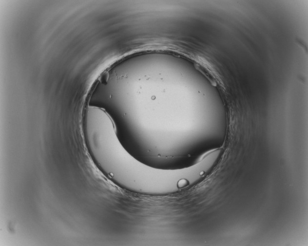 X0000102390950200808221822