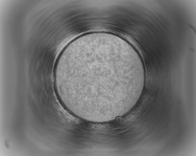 X0000102390951200808221822