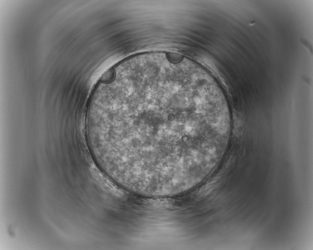 X0000102390952200808221822