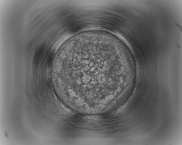 X0000102390953200808221822