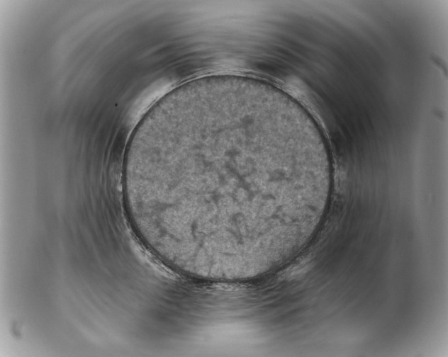 X0000102390954200808221822