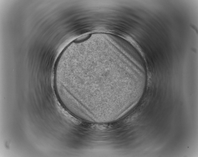 X0000102390955200808221822