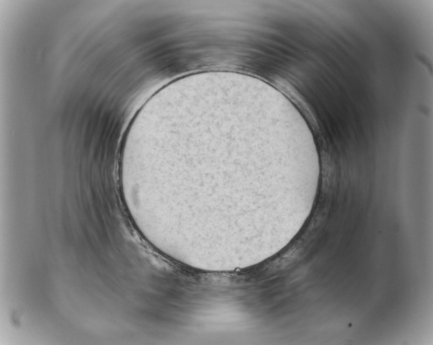 X0000102390956200808221822