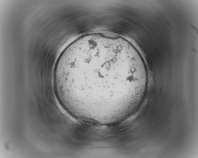 X0000102390957200808221822