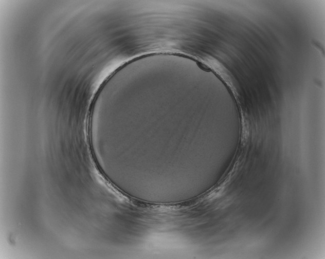 X0000102390958200808221822