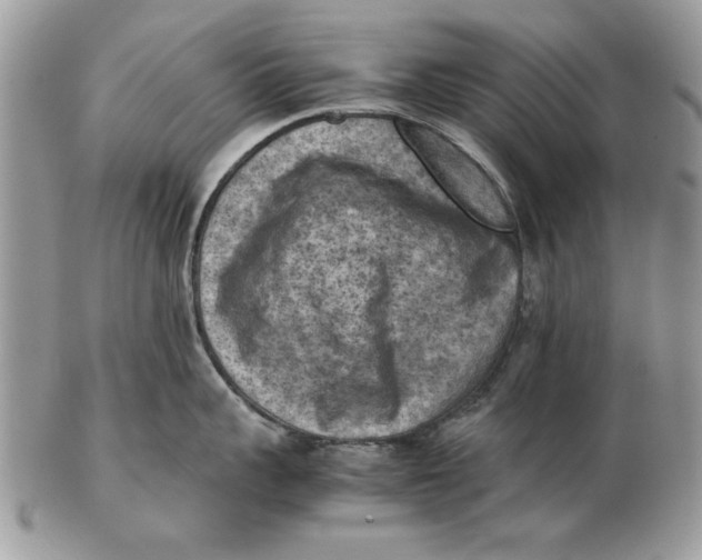 X0000102390959200808221822