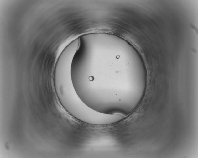 X0000102390960200808221822