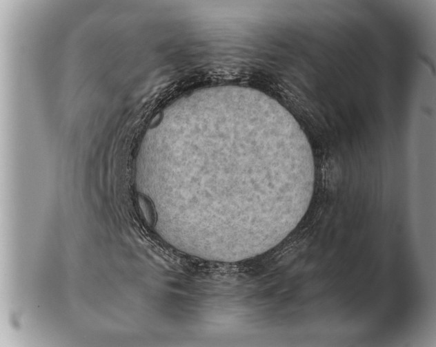 X0000102390961200808221821