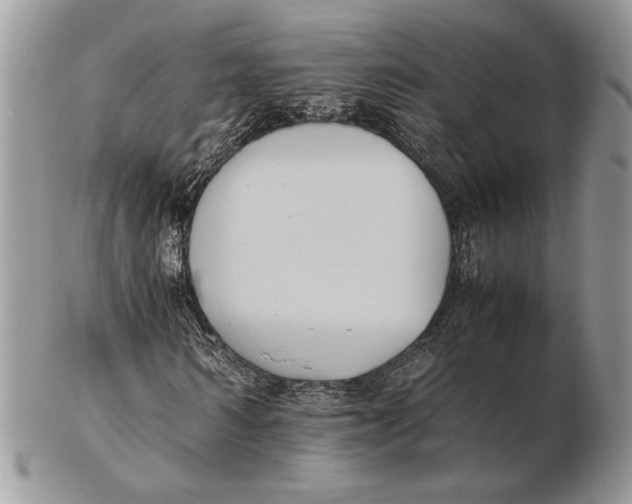 X0000102390962200808221821