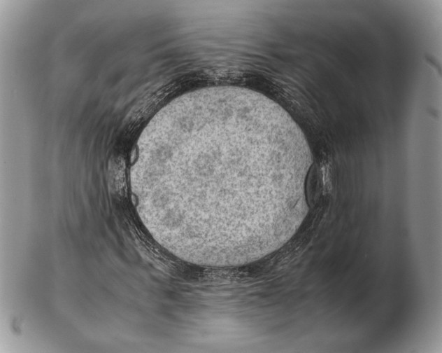 X0000102390963200808221821