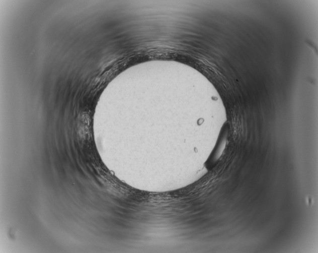 X0000102390964200808221821