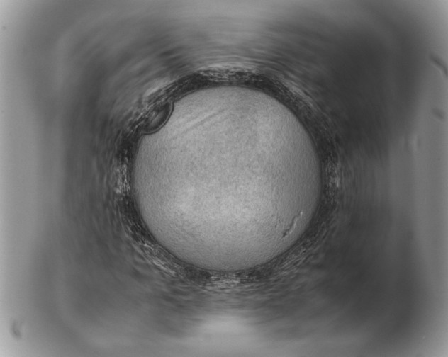 X0000102390965200808221821