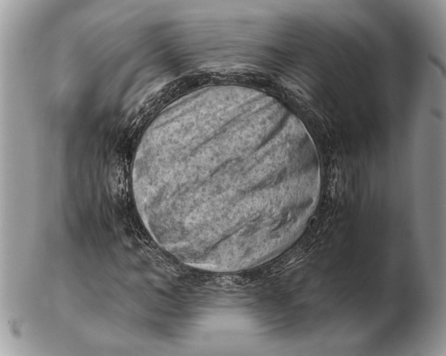 X0000102390966200808221821