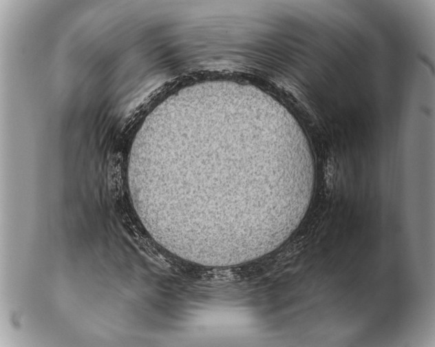 X0000102390968200808221821