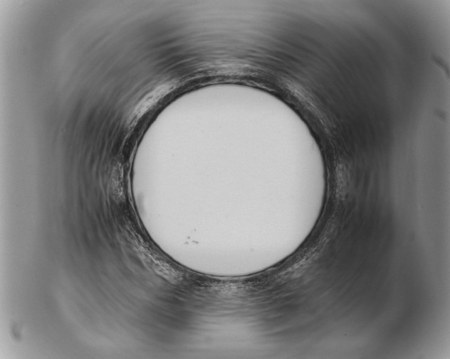 X0000102390970200808221821