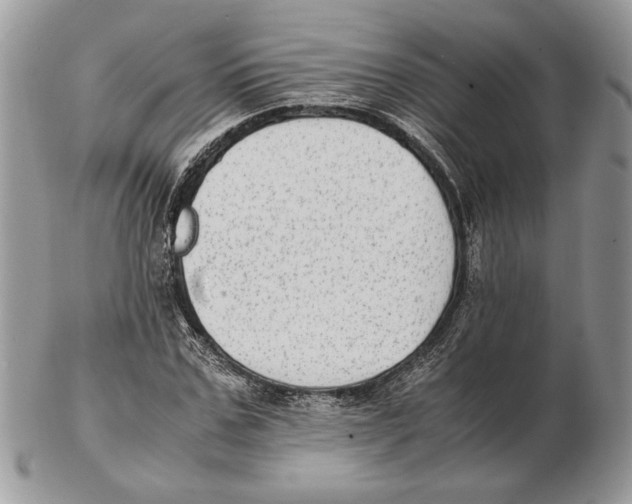 X0000102390971200808221821