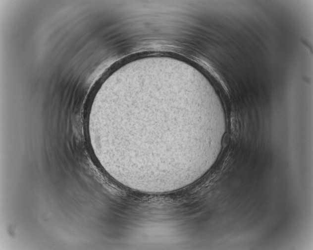 X0000102390972200808221821