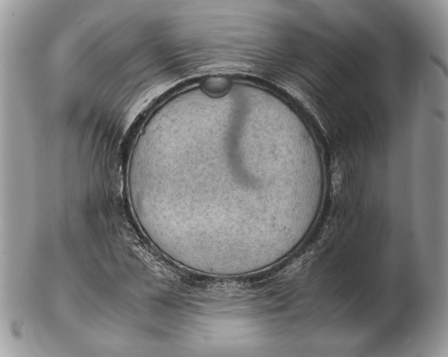 X0000102390973200808221821