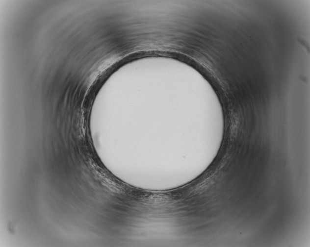 X0000102390974200808221821