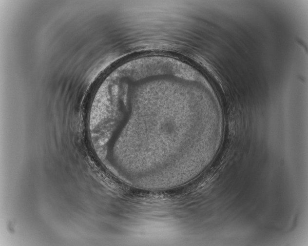 X0000102390975200808221821