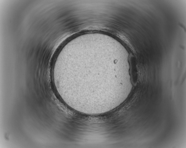 X0000102390976200808221821